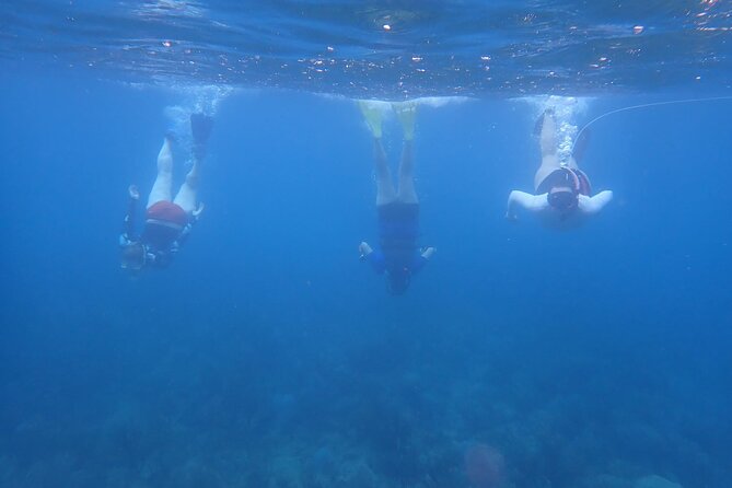 Private Rincon Snorkeling Adventure - Booking and Reservation Information