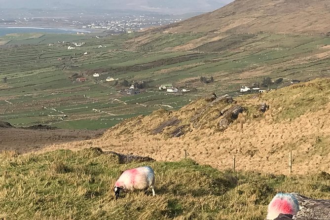 Private Ring of Kerry Luxury Tour With Accredited Guide - Off-the-Beaten-Path Locations