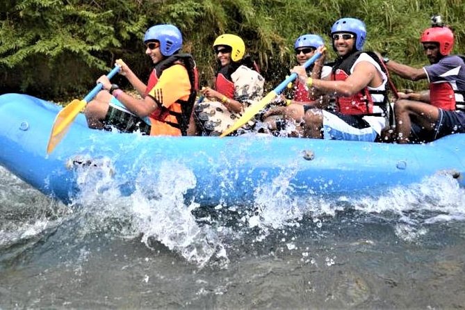 Private Rio Bueno River Adventure From Montego Bay - Exploring the Rio Bueno River