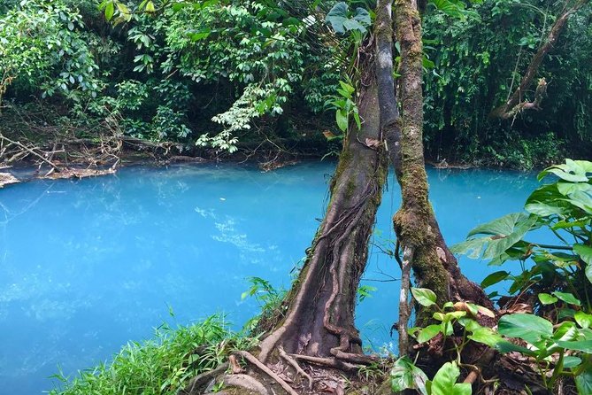 Private Rio Celeste National Park & Sloth Reserve - Stunning Rio Celeste River