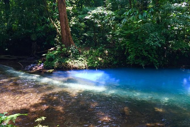Private Rio Celeste National Park & Sloth Reserve - Rejuvenating Lunch Included