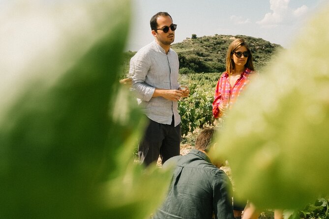 Private Rioja Wine Tour of Vines and Wines in Spain - Quick Points
