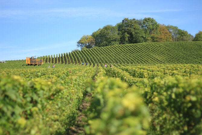 Private Rioja Wine Tour: Premium Wineries From Bilbao With Lunch - Key Points