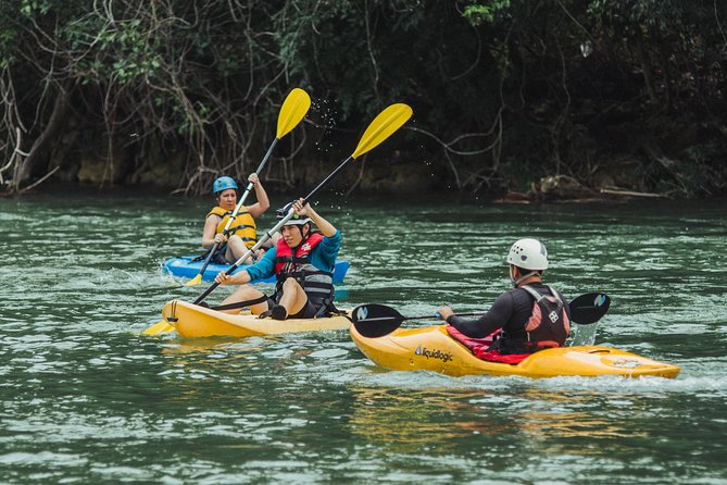 Private River Kayaking & Picnic From San Ignacio - Spotting Wildlife Along the Way