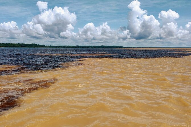 Private River Tour by Speedboat in the Amazon, Lily Pads & Nature - Included Amenities
