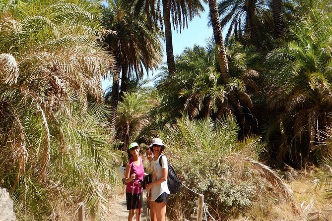 Private River Trekking and Gorge Walking Adventure in Crete - Discover the River Source