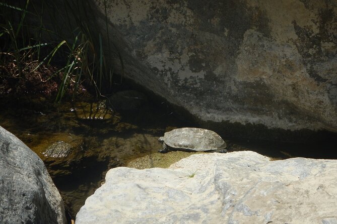 Private River Trekking and Gorge Walking Adventure in Crete - Reaching Preveli Beach