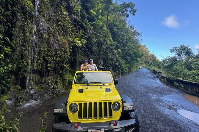 Private Road to Hana Maui Open-Air Jeep Tour - Accessibility and Participation