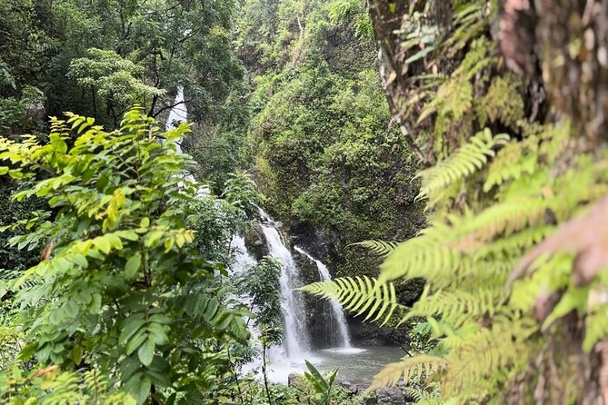 Private Road to Hana Maui Open-Air Jeep Tour - Highlights and Memorable Moments