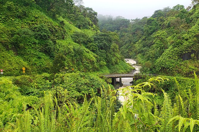 Private Road to Hana or Any Maui Destination in Luxury Mercedes Sprinter - Overview and Experience