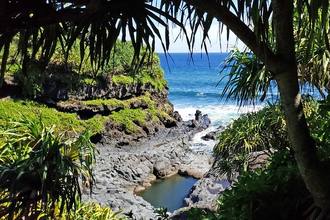 Private Road to Hana or Any Maui Destination in Luxury Mercedes Sprinter - Reviews and Ratings