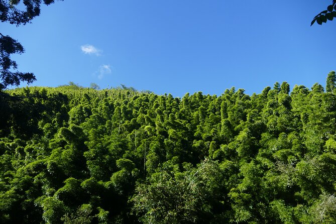 PRIVATE Road to Hana Tour - Tour Availability