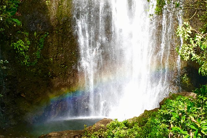 Private Road to Hana Tour - Tour Experience