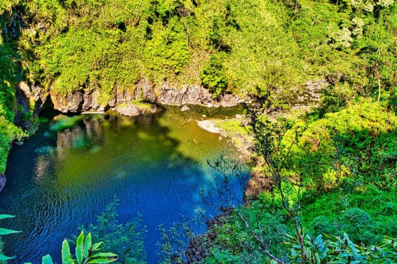Private Road to Hana Tour - Full Day LARGE GROUP - Cultural Experience