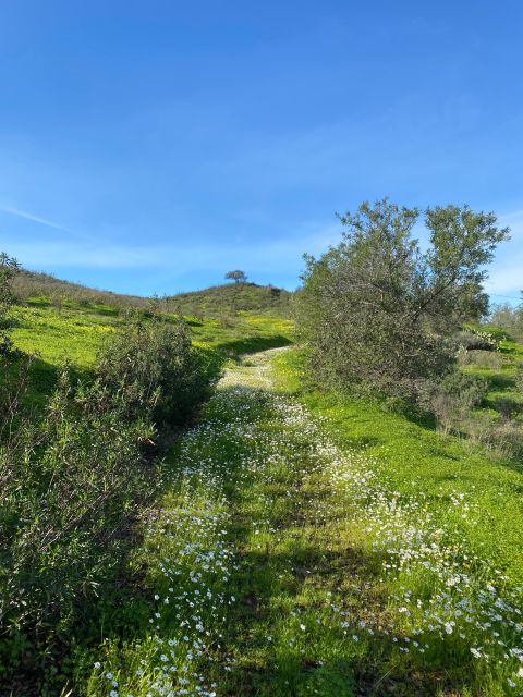 Private Road Trip, Eastern Algarve: History & Magical Nature - Unique Experiences and Personalization