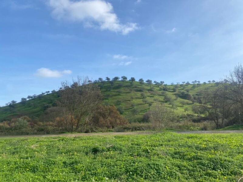 Private Road Trip, Eastern Algarve: History & Magical Nature - Explore Ria Formosas Waterland