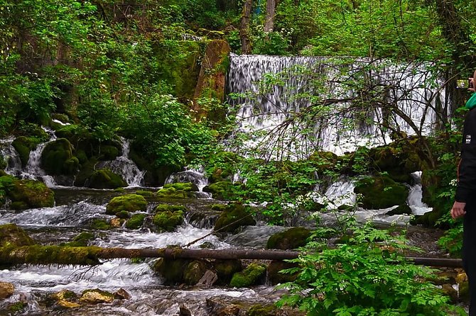Private Road Trip From Belgrade to Mountain Tara - Transportation Details