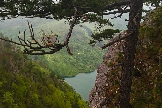 Private Road Trip From Belgrade to Mountain Tara - Pickup and Schedule