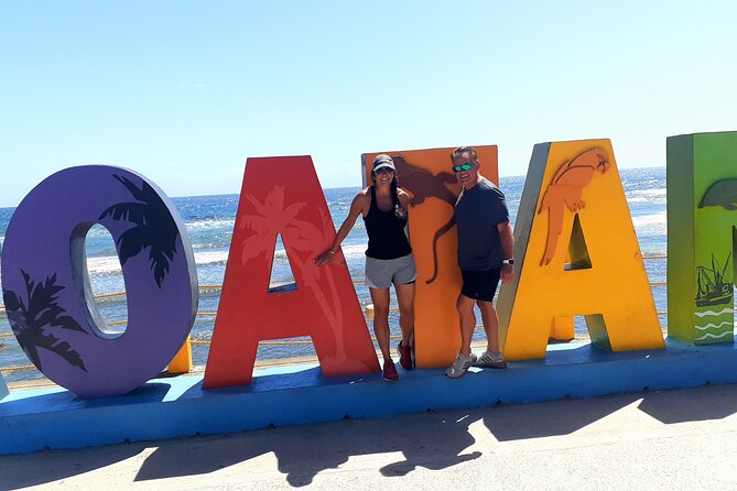 Private Roatan City Tour Monkeys & Sloths With Zipline - Key Points