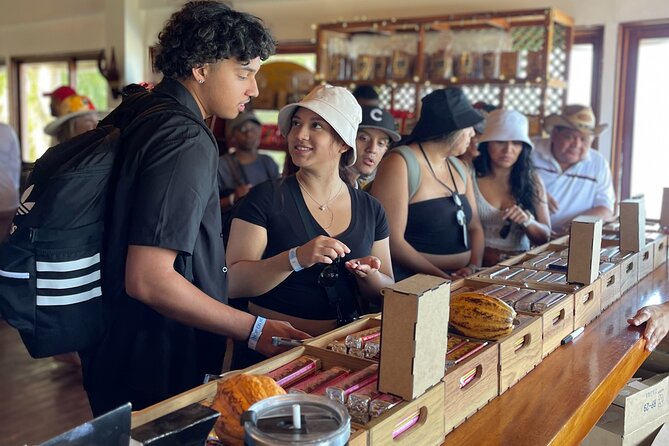 Private Roatán Island Tour: Visit to Rum and Chocolate Factory - Highlights of the Itinerary