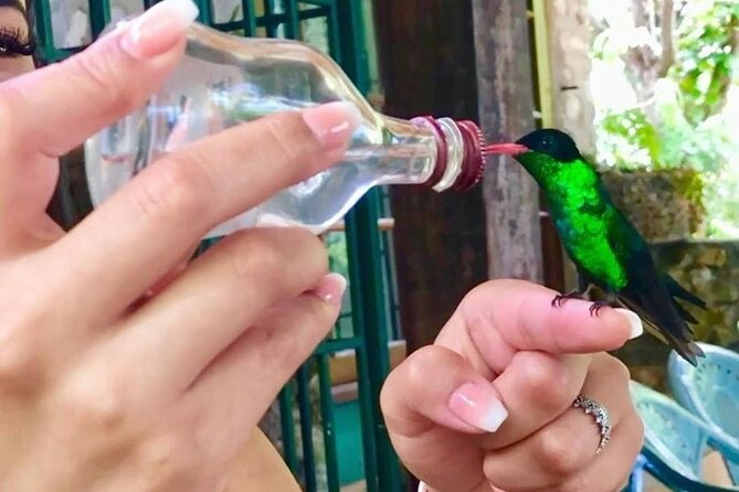 Private Rockland Bird Sanctuary and Shopping Tour With Transport - Booking and Cancellation Policy
