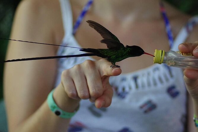Private Rockland Bird Sanctuary and Shopping Tour With Transport - Accessibility and Participation Requirements