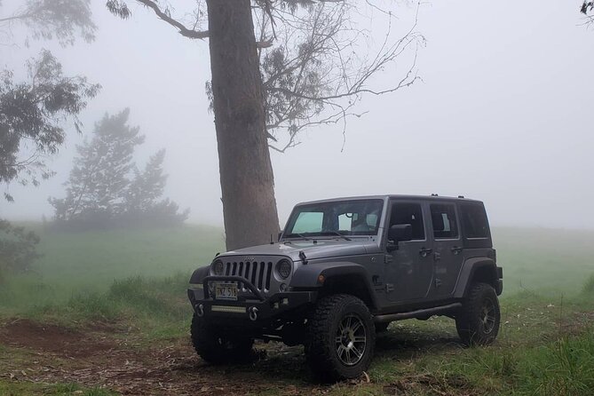 Private Rocky Coast Excursion Jeep Tour in Maui Island - Unique Views and Terrain