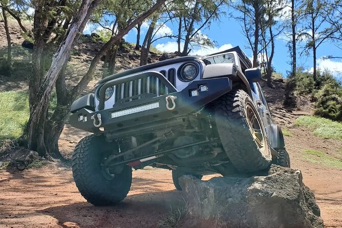 Private Rocky Coast Excursion Jeep Tour in Maui Island - Personalized Service and Expertise