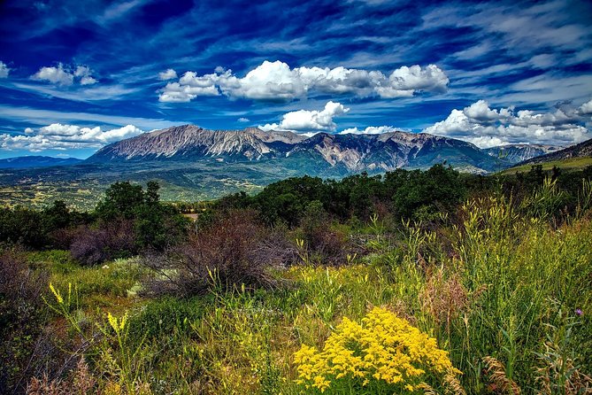 Private Rocky Mountain National Park Tour From Denver - Wildlife and Photography