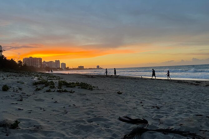 Private Romantic Beach Picnic at Sunset With Photos - Highlights of the Experience