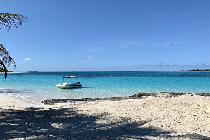Private Rose Island Half Day Charter With Swimming Pigs - Pickup Information