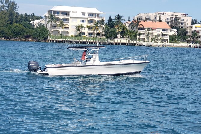Private Rose Island Tour Snorkeling Fishing Swimming With Pigs - Included Amenities