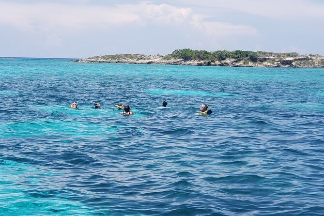 Private Rose Island Tour Snorkeling Fishing Swimming With Pigs - Challenges and Feedback