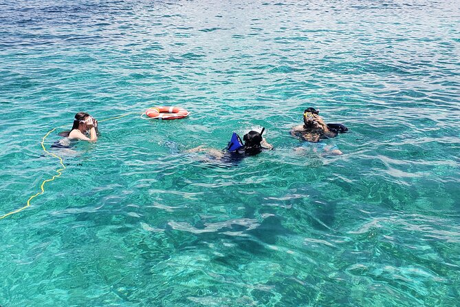 Private Rose Island Tour Snorkeling Fishing Swimming With Pigs - Accessibility and Additional Information