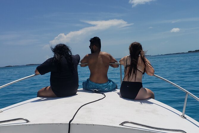 Private Rose Island Tour Snorkeling Fishing Swimming With Pigs - Exploring Gilligans Island