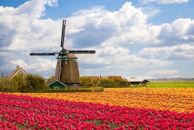 Private Rotterdam and Kinderdijk Day Trip From Amsterdam - Quick Points