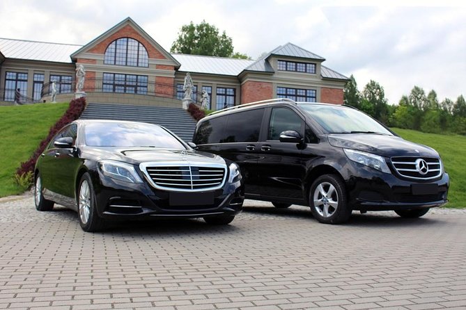 Private Rotterdam Cruise Port Departure Transfer to AMS Schiphol Airport - Service Overview