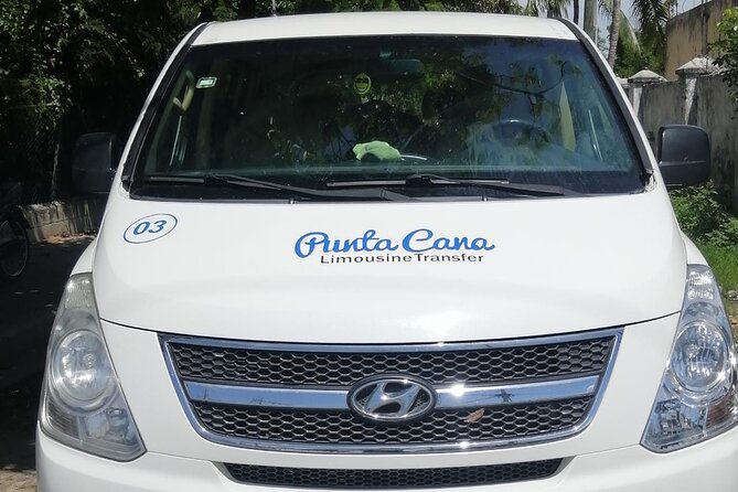 Private Round Trip Airport Transfer Bavaro Hotels - Pickup and Drop-off Logistics