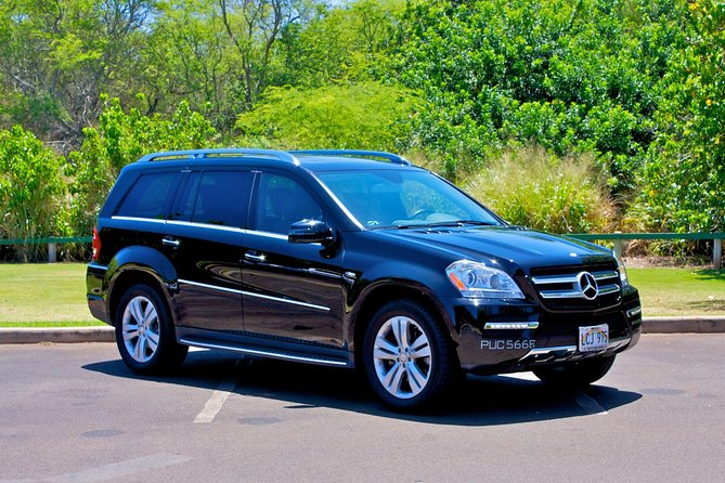 Private Round-Trip Transfer: Kona International Airport to Big Island Hotels - Transfer Inclusions