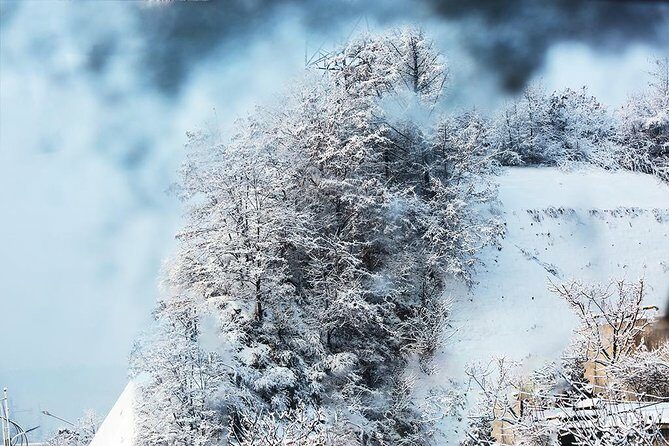 Private Round Trip Transfer to Nanshan, Jundushan or Huaibei Ski Resort from Beijing - The Sum Up: Who Will Appreciate This Experience?