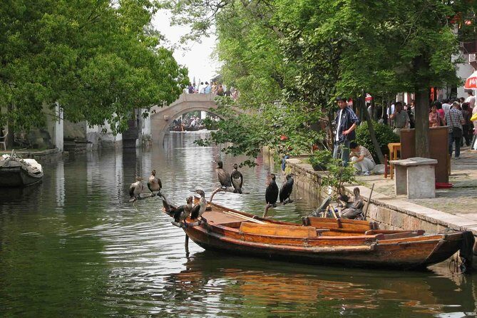 Private Round Trip Transfer to Suzhou & Zhouzhuang from Shanghai - Key Points