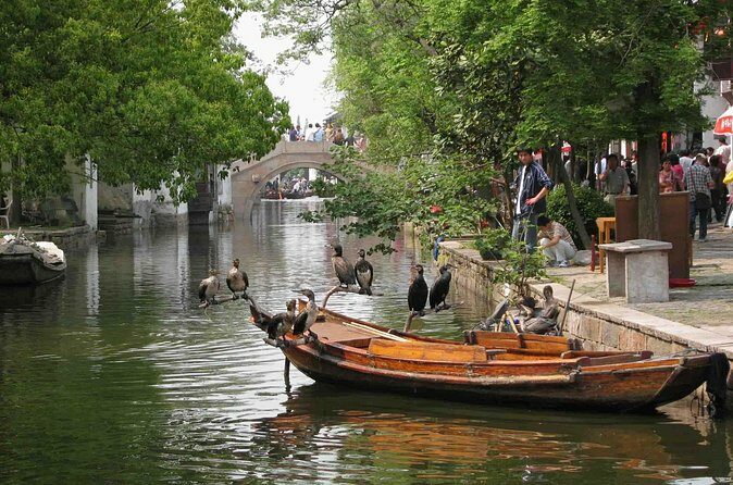 Private Round Trip Transfer to Suzhou & Zhouzhuang from Shanghai - Customization and Flexibility