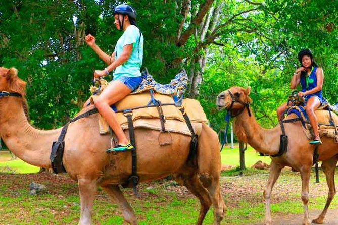 Private Round Trip Transfer to YAAMAN Adventure Park Ocho Rios - Booking and Reviews