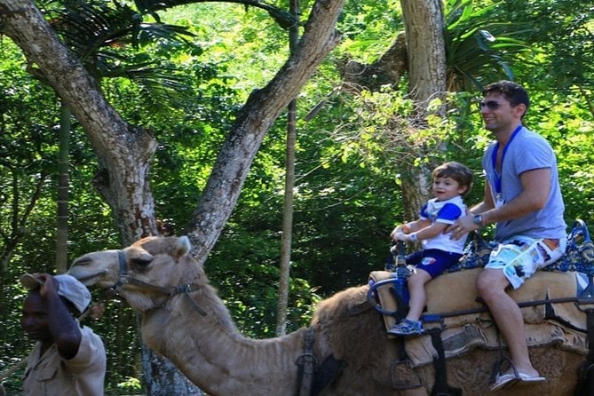 Private Round Trip Transfer to YAAMAN Adventure Park Ocho Rios - Booking Your Stay