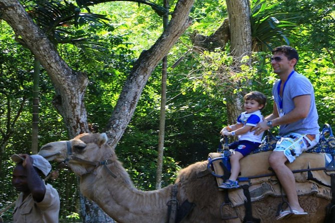 Private Round Trip Transfer to YAAMAN Adventure Park Ocho Rios - Tour Inclusions and Exclusions