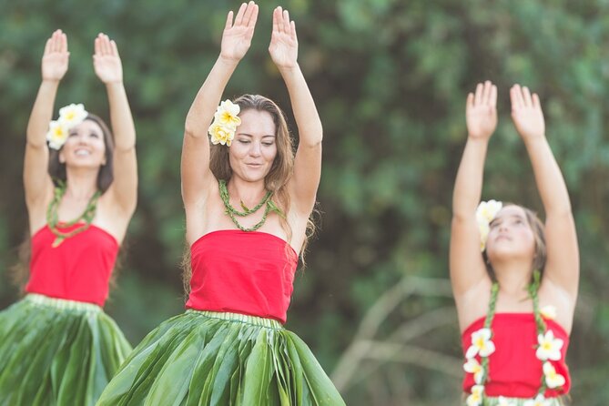 Private Round-Trip Transportation From Honolulu to North Shore - Key Points