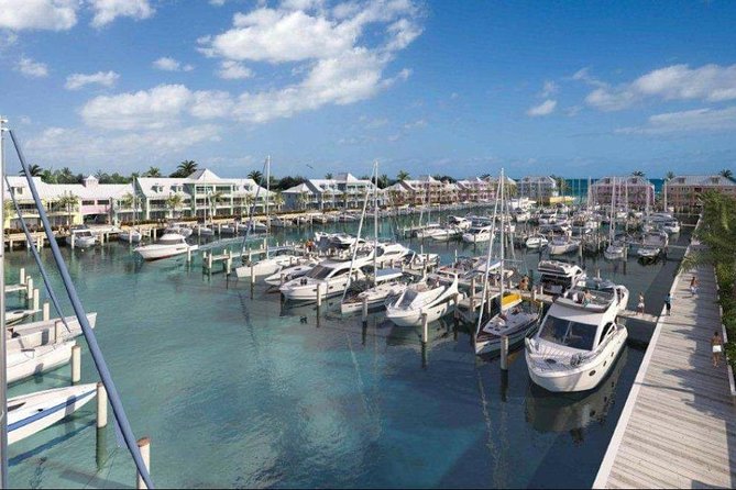 Private Roundtrip Minivan Airport Transfer to Palm Cay - About Your Stay
