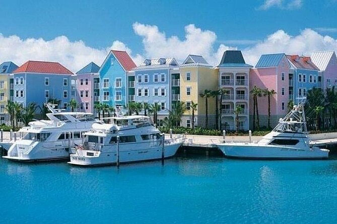 Private Roundtrip Sedan Airport Transfer to Paradise Island - Customer Feedback Analysis