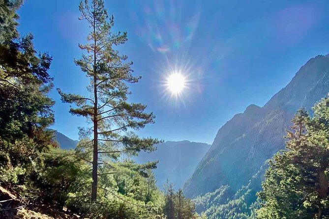 Private Roundtrip Transfer From Chania to Samaria Gorge Park - Customer Reviews