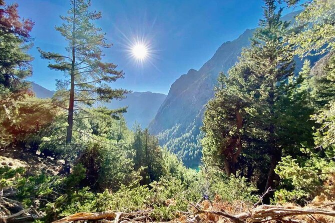 Private Roundtrip Transfer From Chania to Samaria Gorge Park - Scenic Highlights